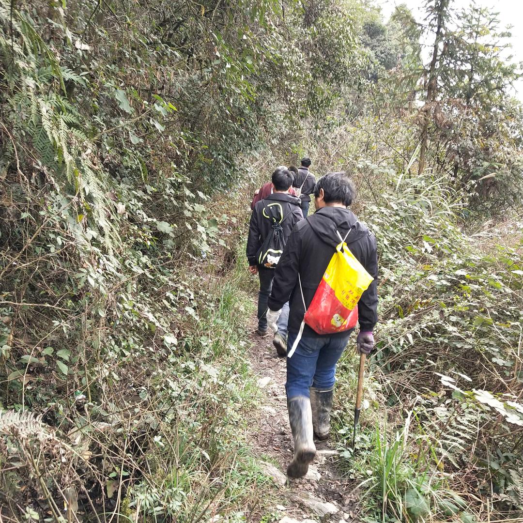 云南，山货哥