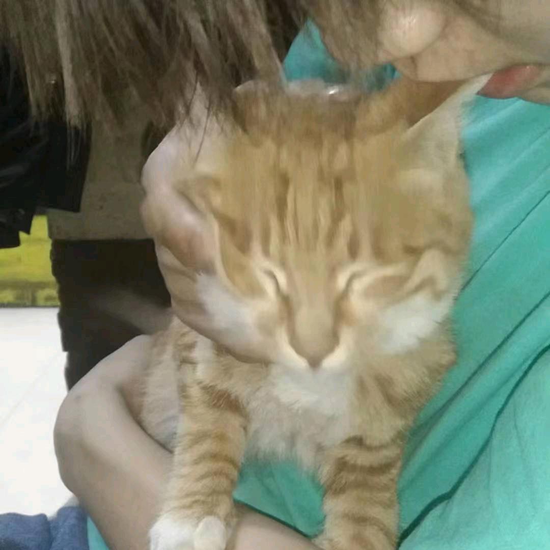 水枪装鸟呲谁谁叫