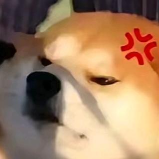(ﾉ｀⊿´)ﾉ