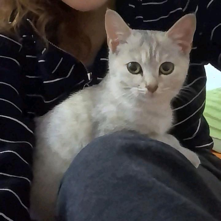 六金妹🐇❤️👑
