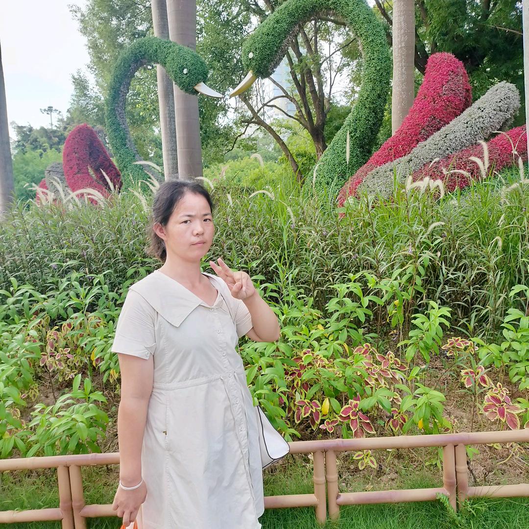 是金孑总会发光发亮