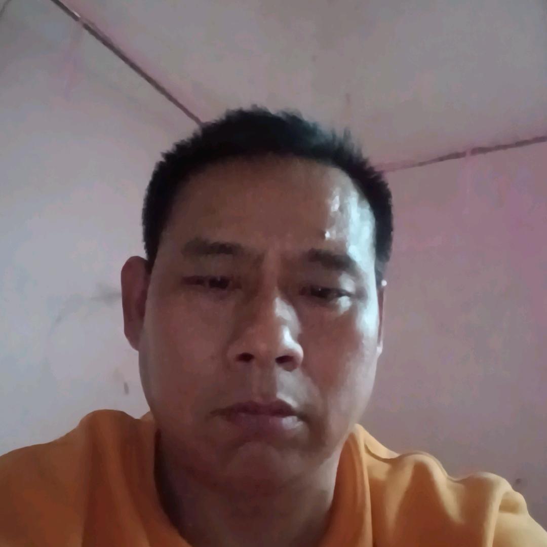 自由的飞翔