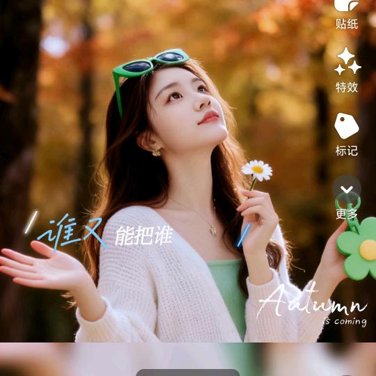 莎莎