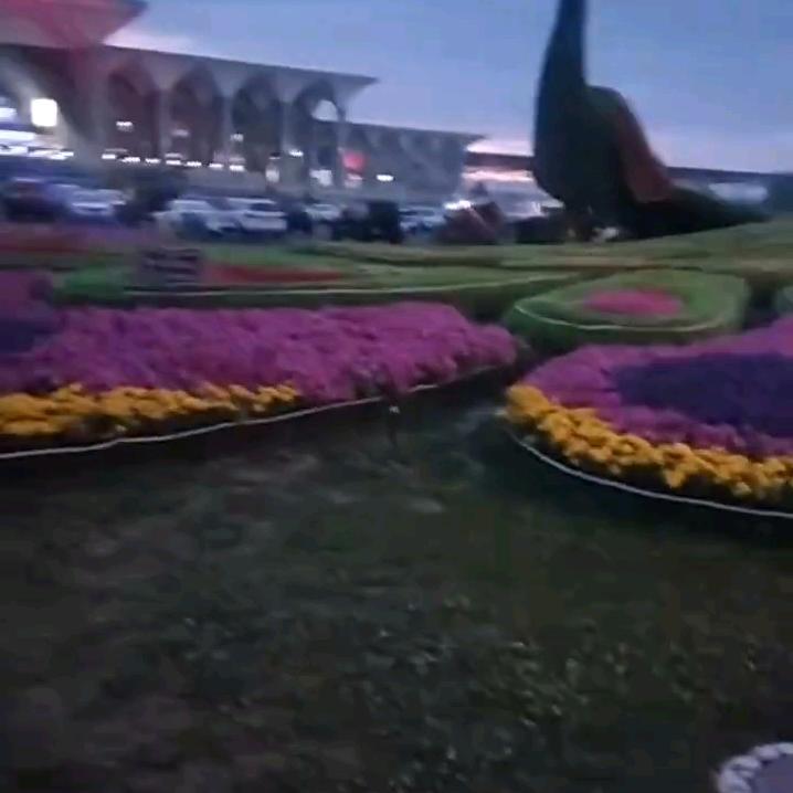 健康是福