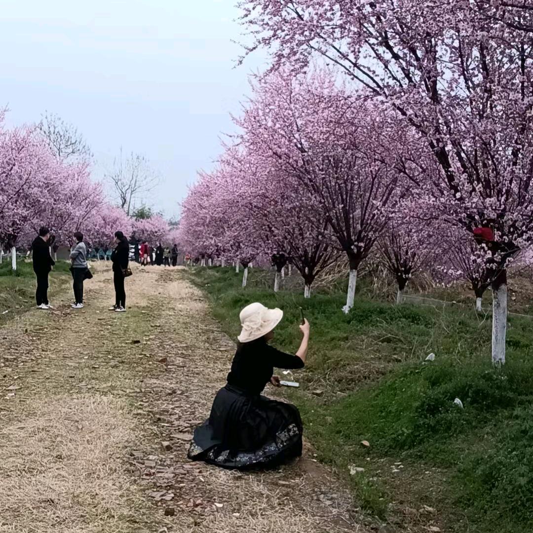 缘姐追剧（小号）