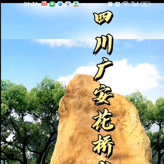 杨国平