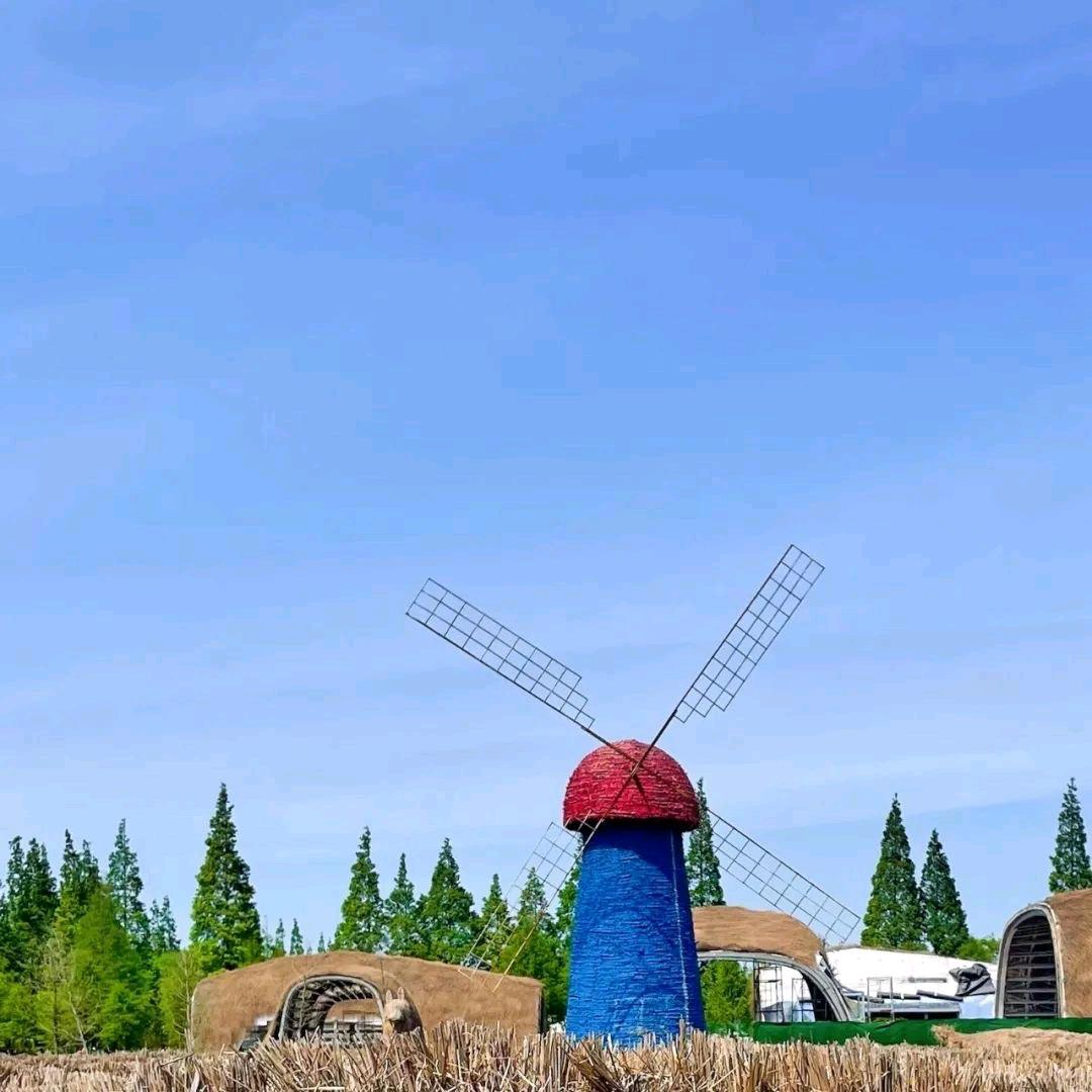 青杉绿通