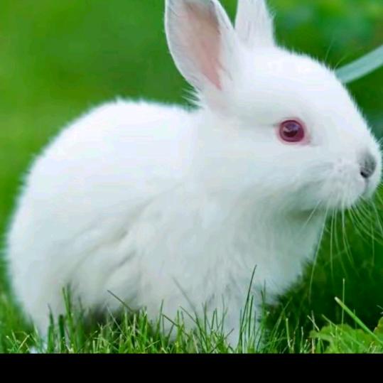 相爱永恒…郭叙田