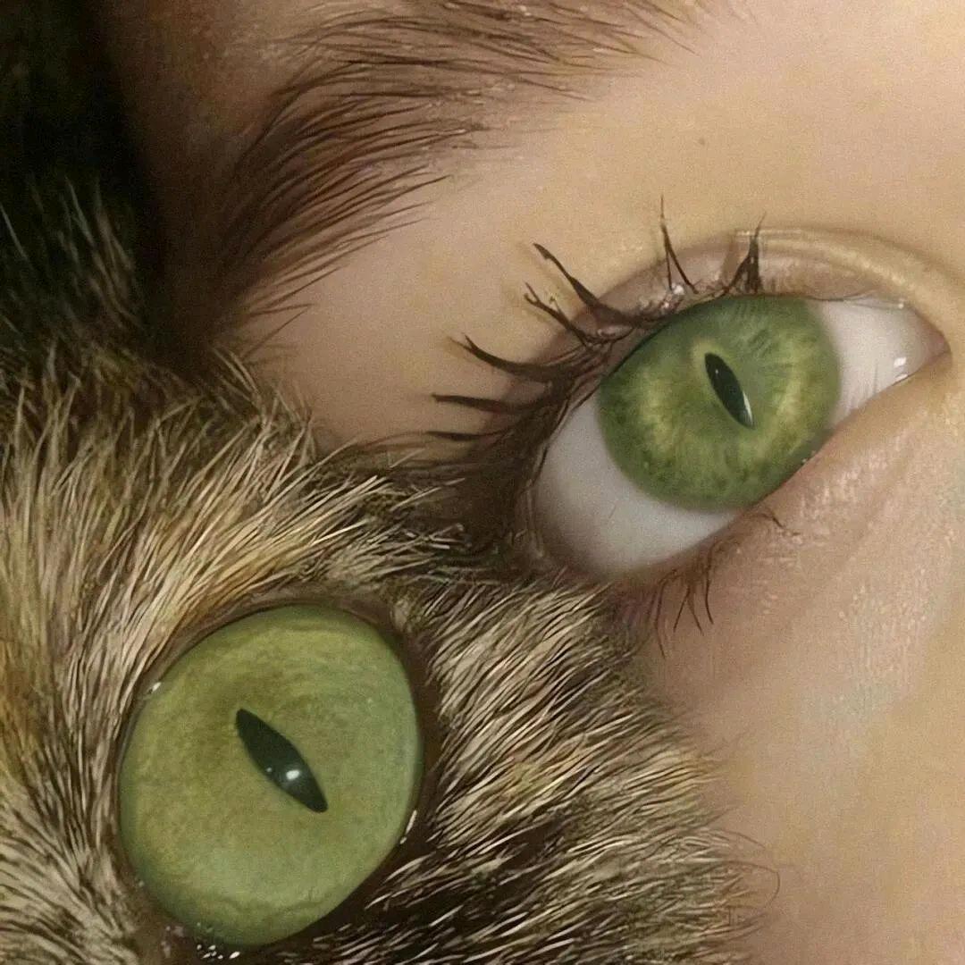 •᷄ࡇ•᷅