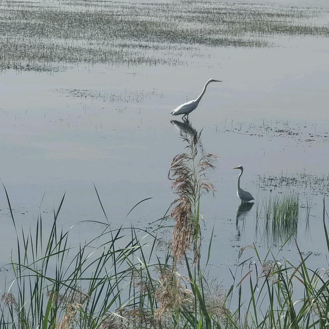 阳光