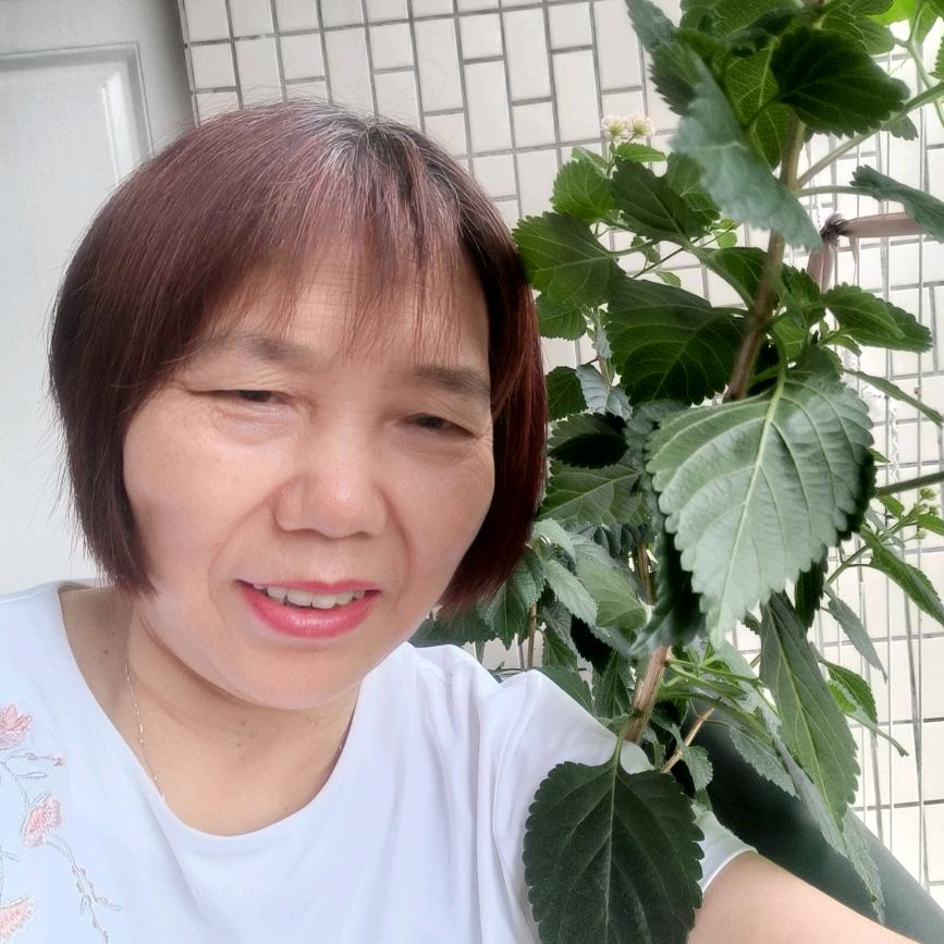 一枝花