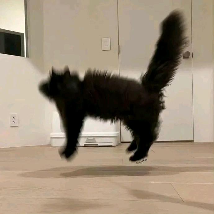 一卜（三角洲行动）