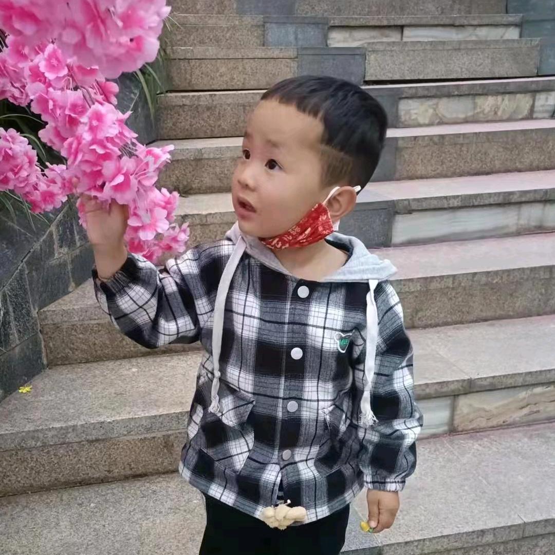 枫子