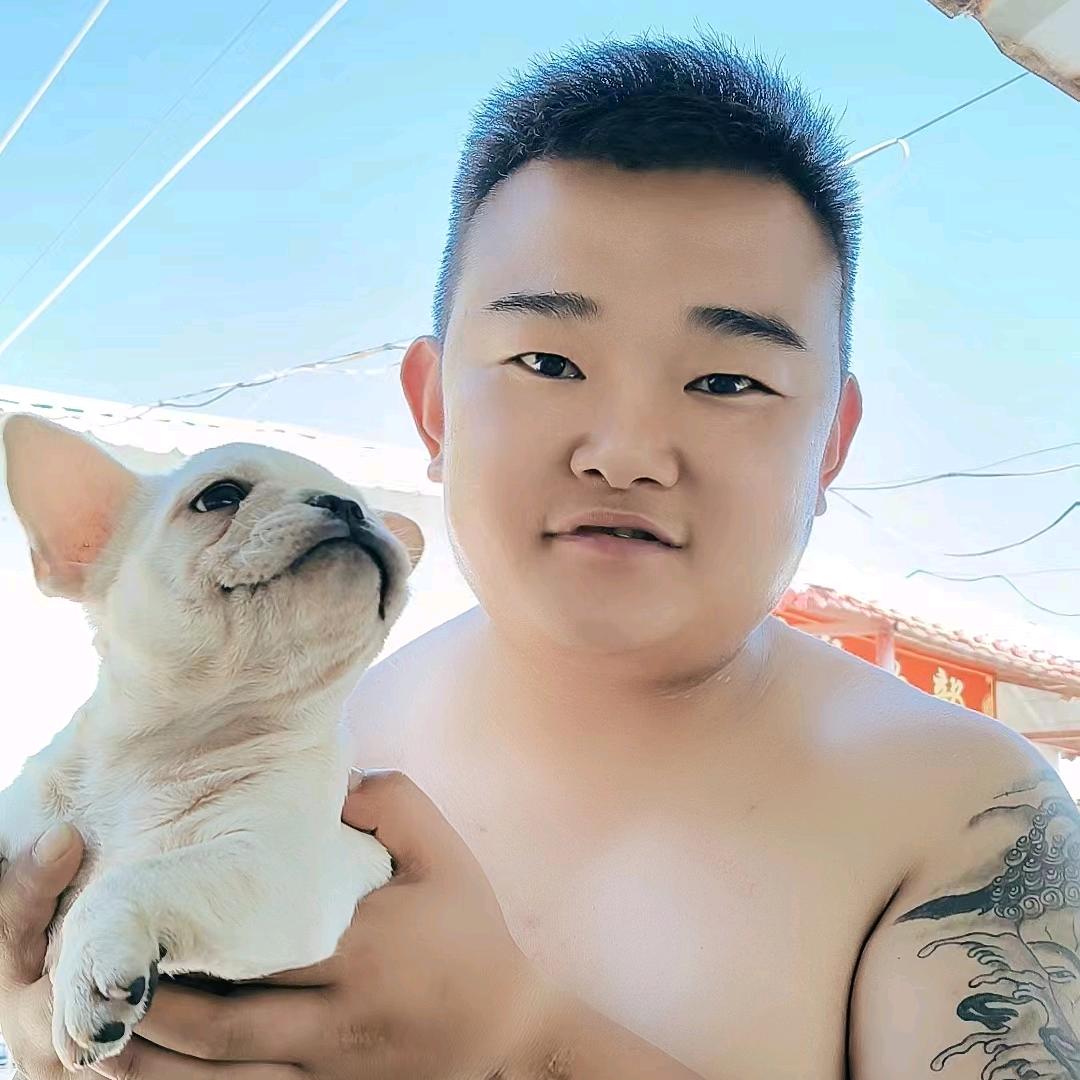 🔥大荔豪神犬舍🔥