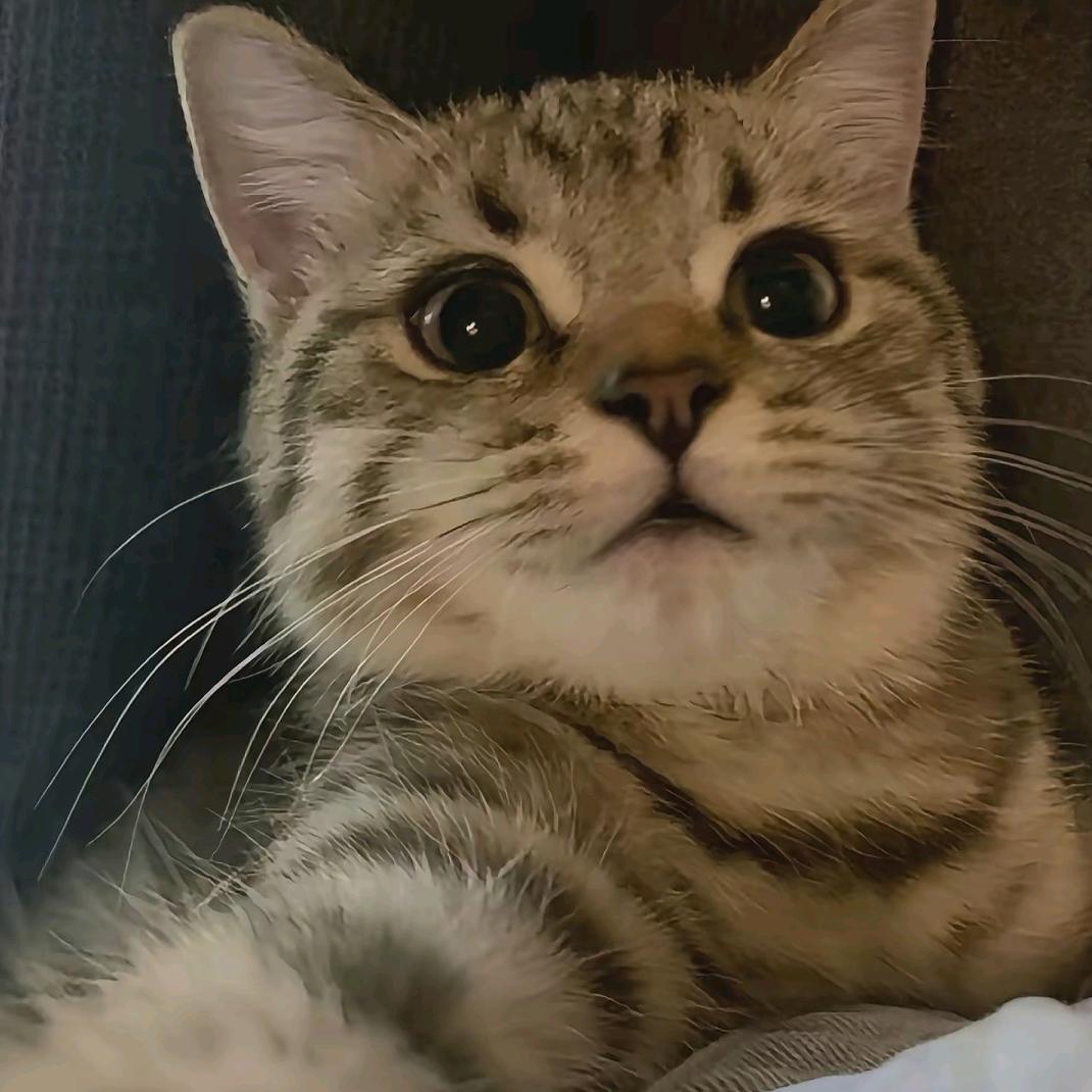逃也