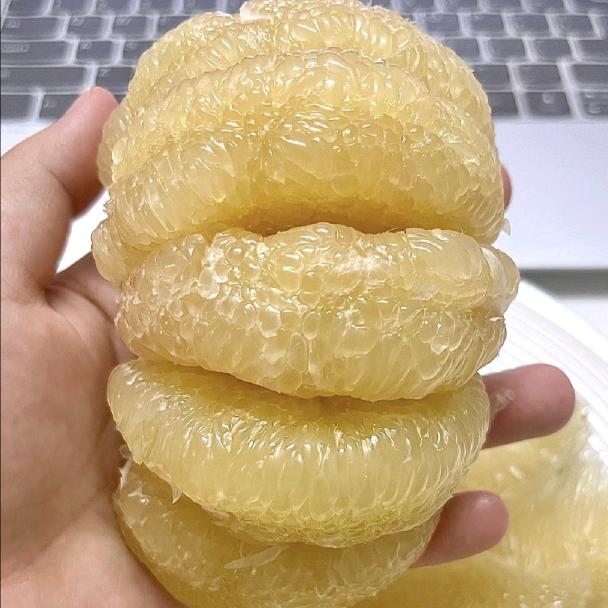 度尾文旦柚优选