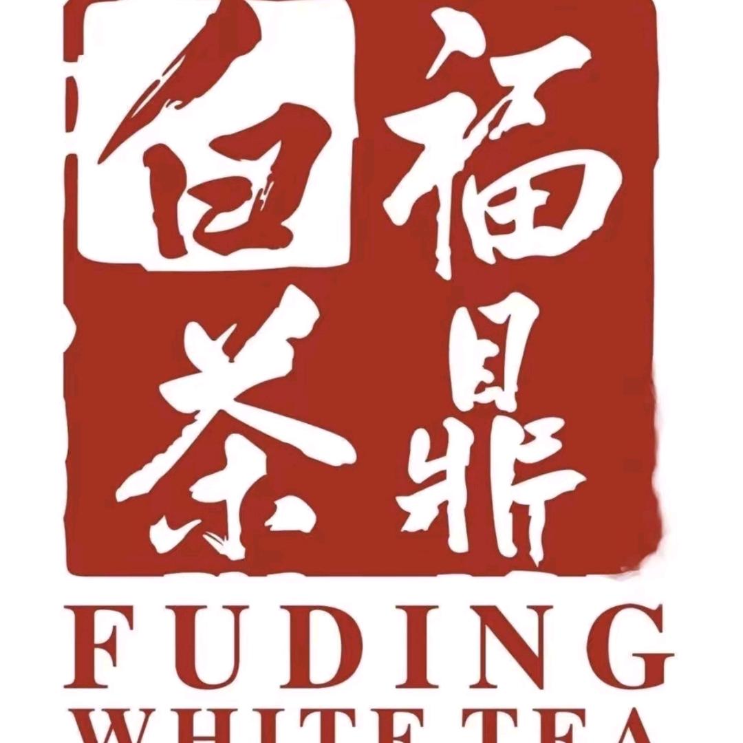福鼎白茶源头厂家_小李