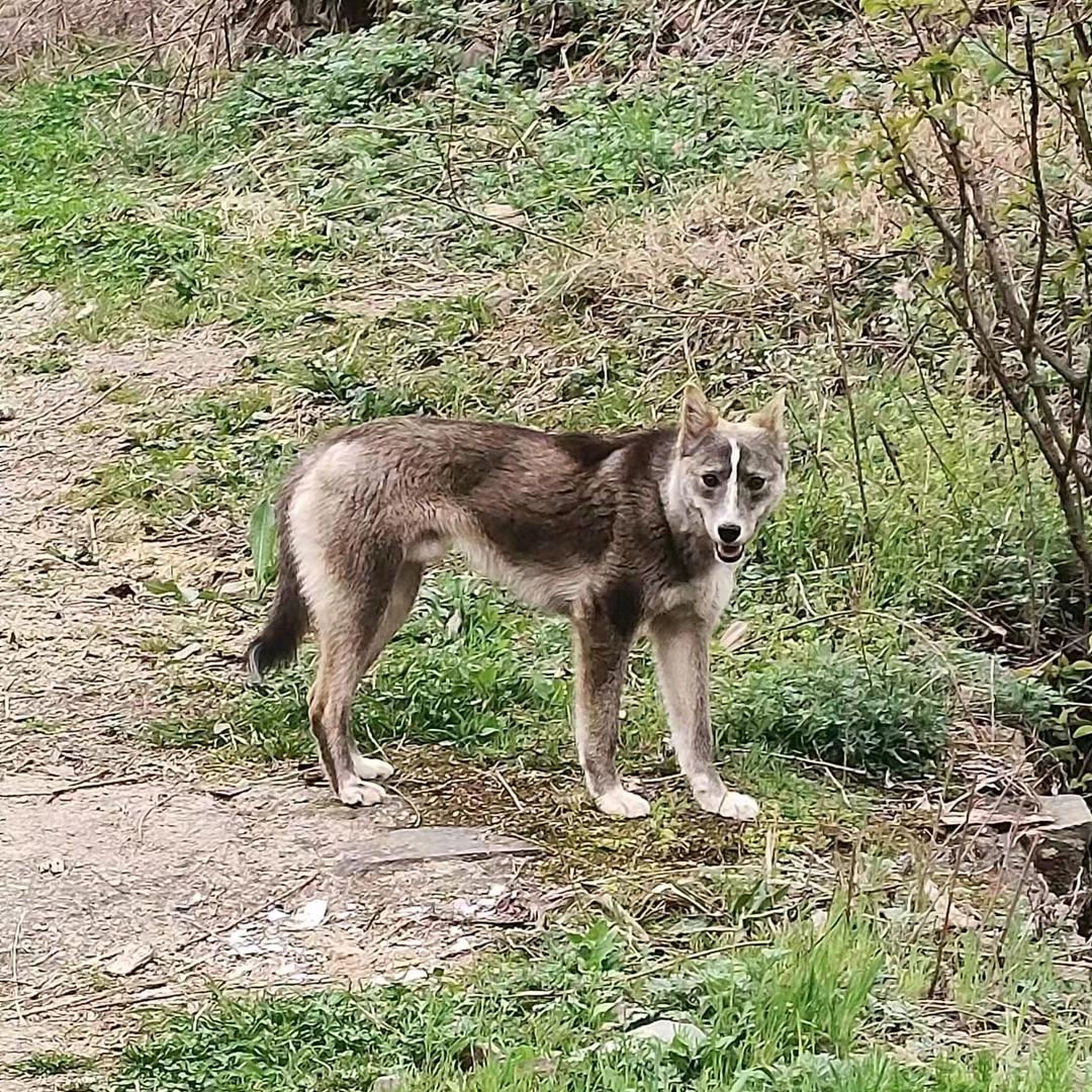 仰望星空、追逐梦想