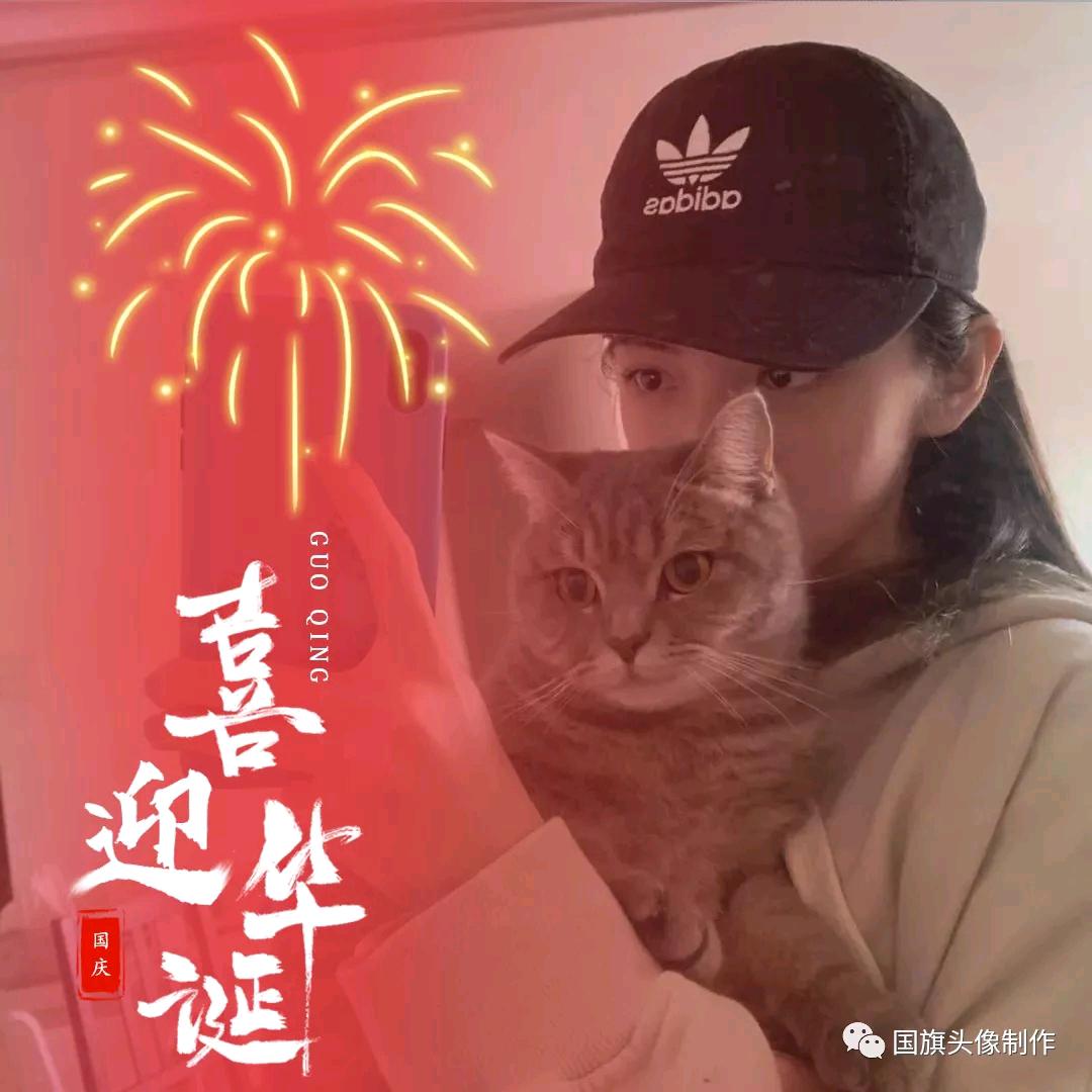 Al小鱼儿