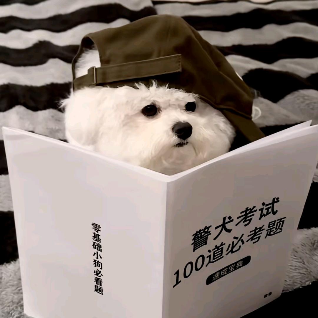 泉州欧蓝迪科技有限公司-欣欣