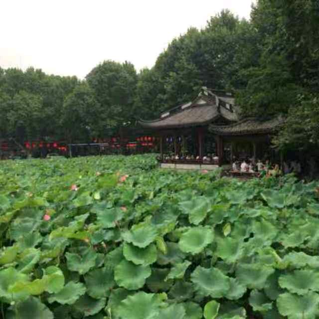 风清月明