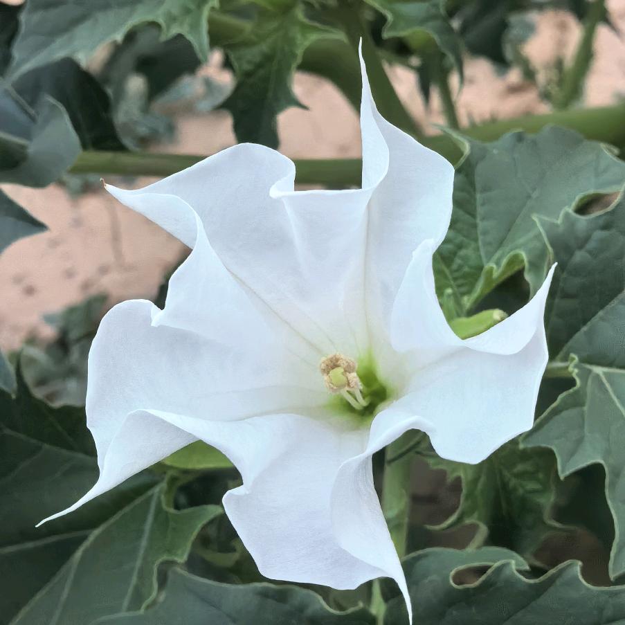 指尖划过的时光