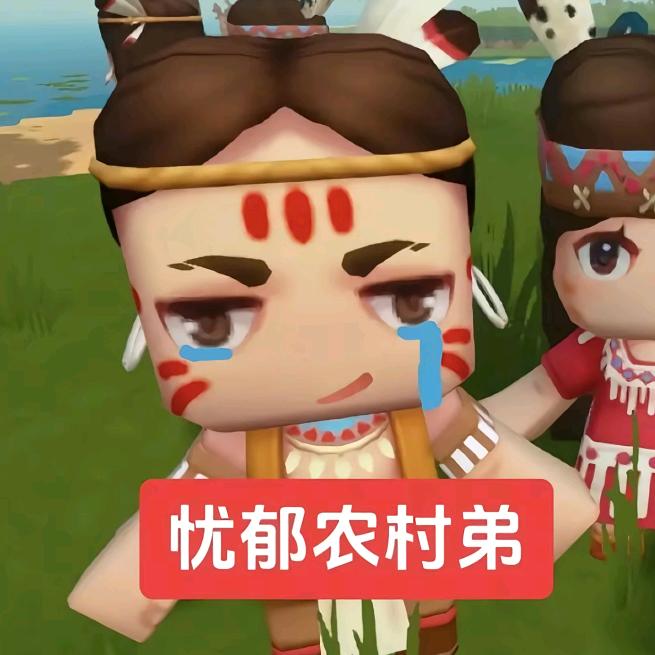 水鸟迅
