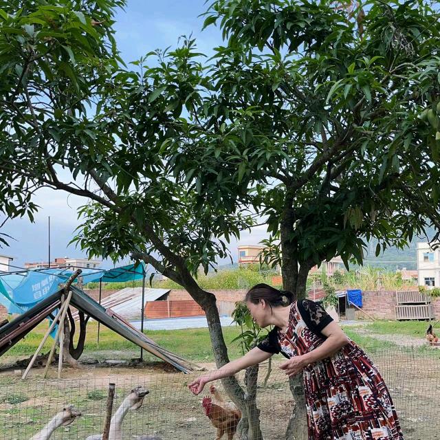 平淡知足，才是生命的底色