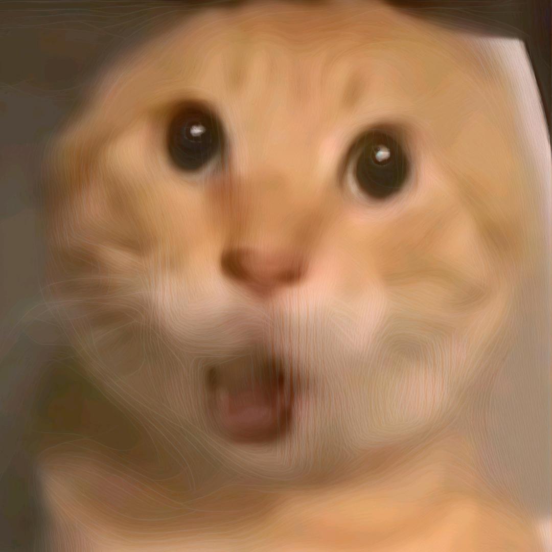 盈虚有数