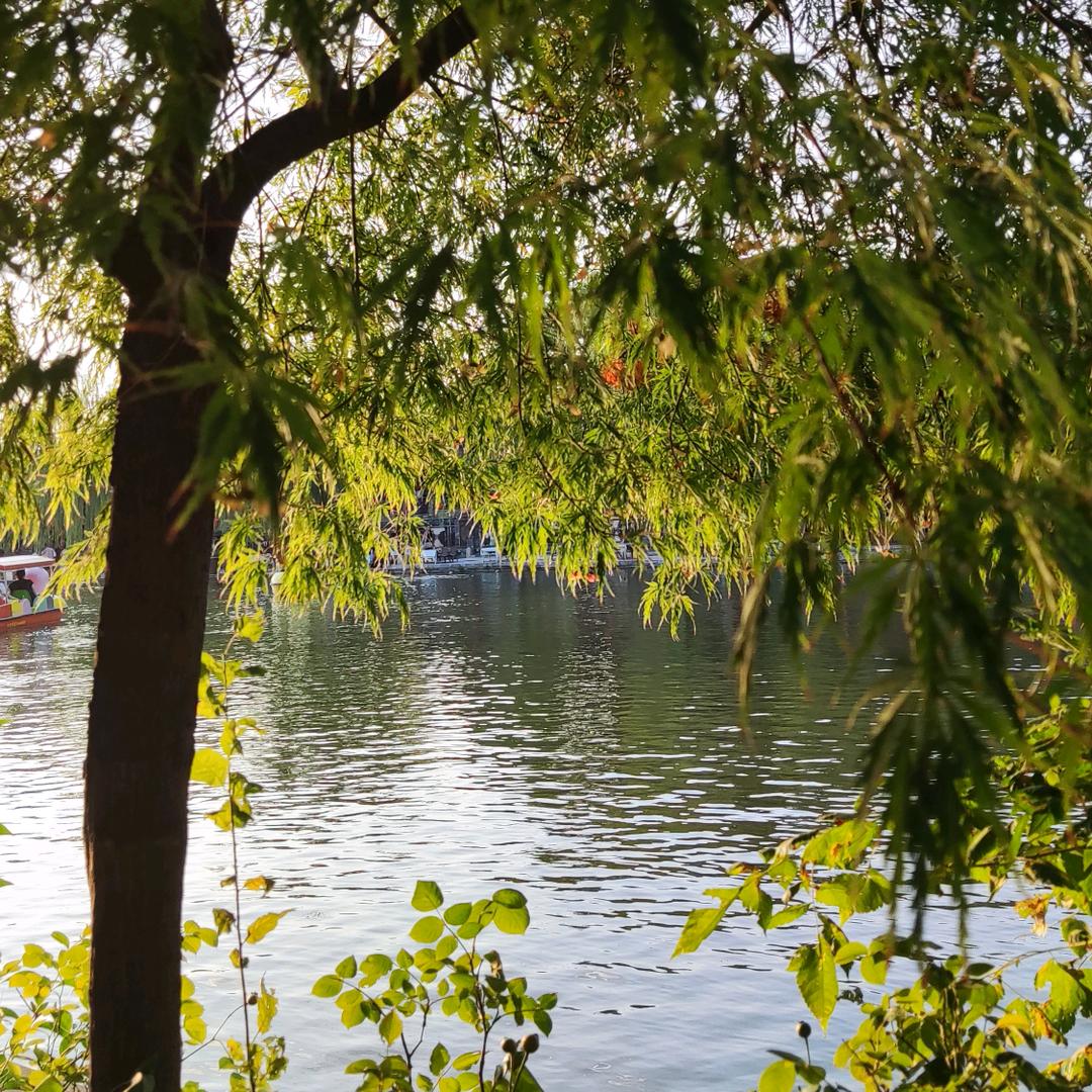 乐意编🐍👍🐂🍺