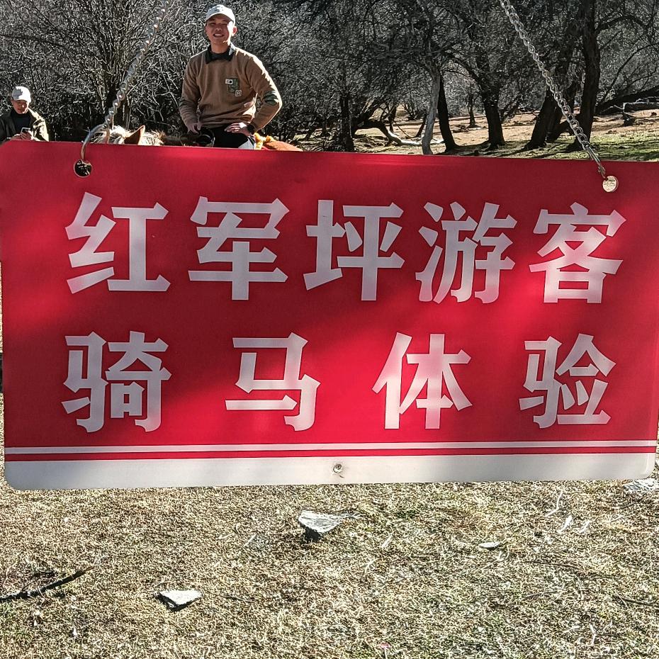 迎客松