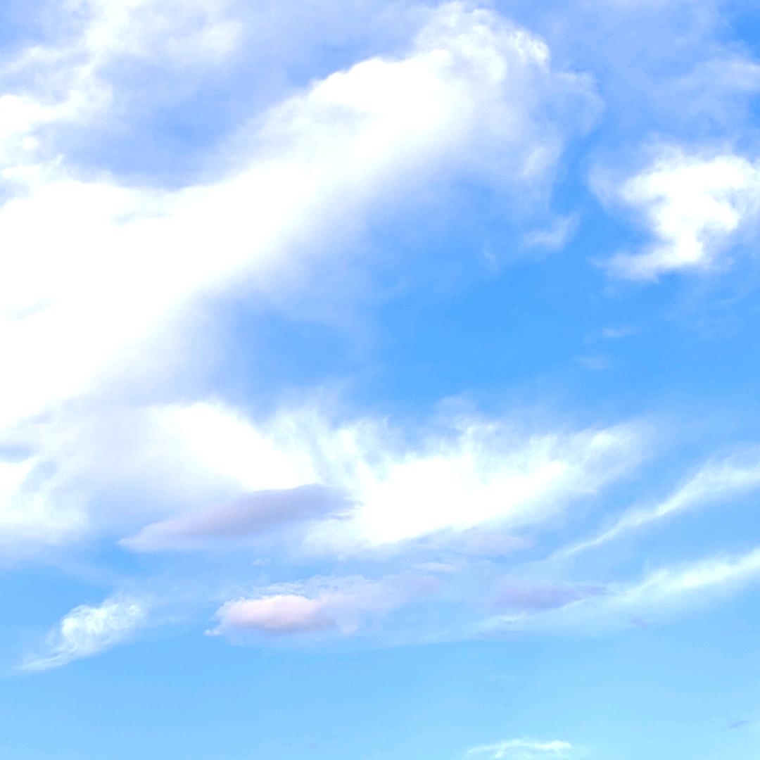 胡梅