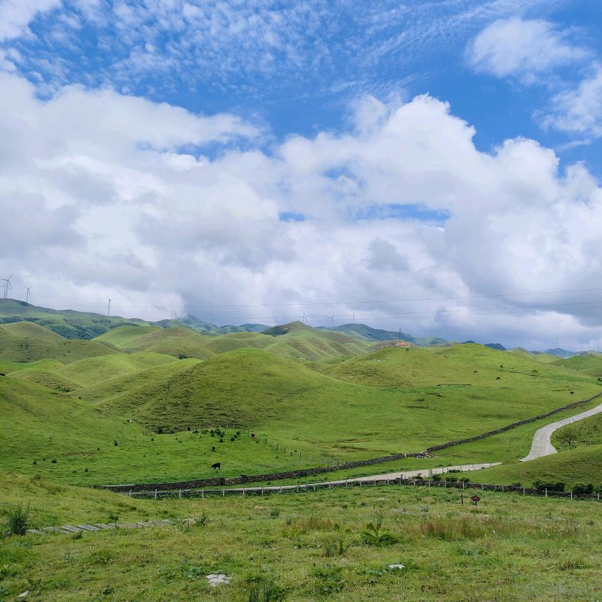 1️⃣🕸️💗深💘💘💘