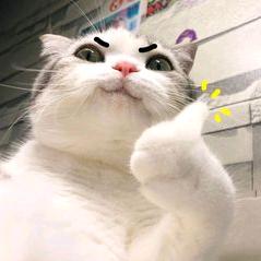 。。。。。。。。。。。