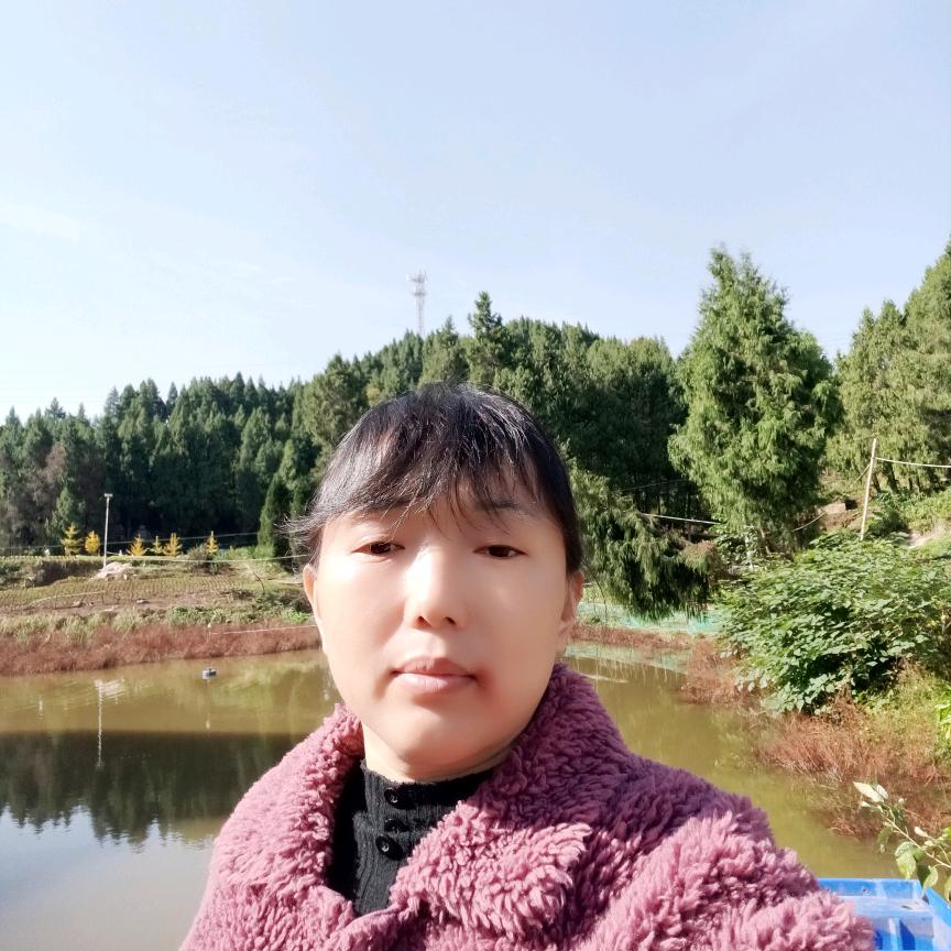 髙姐（首播）不定时开播