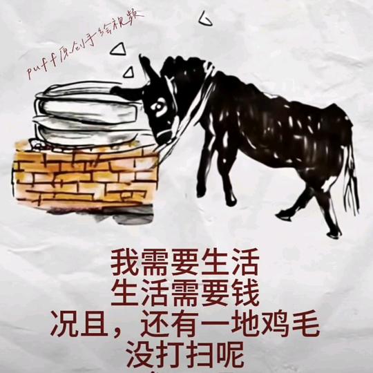 风雨无阻
