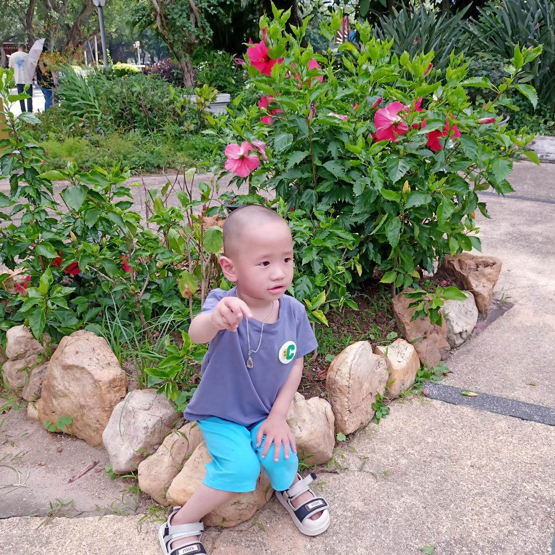 飞哥💋💋