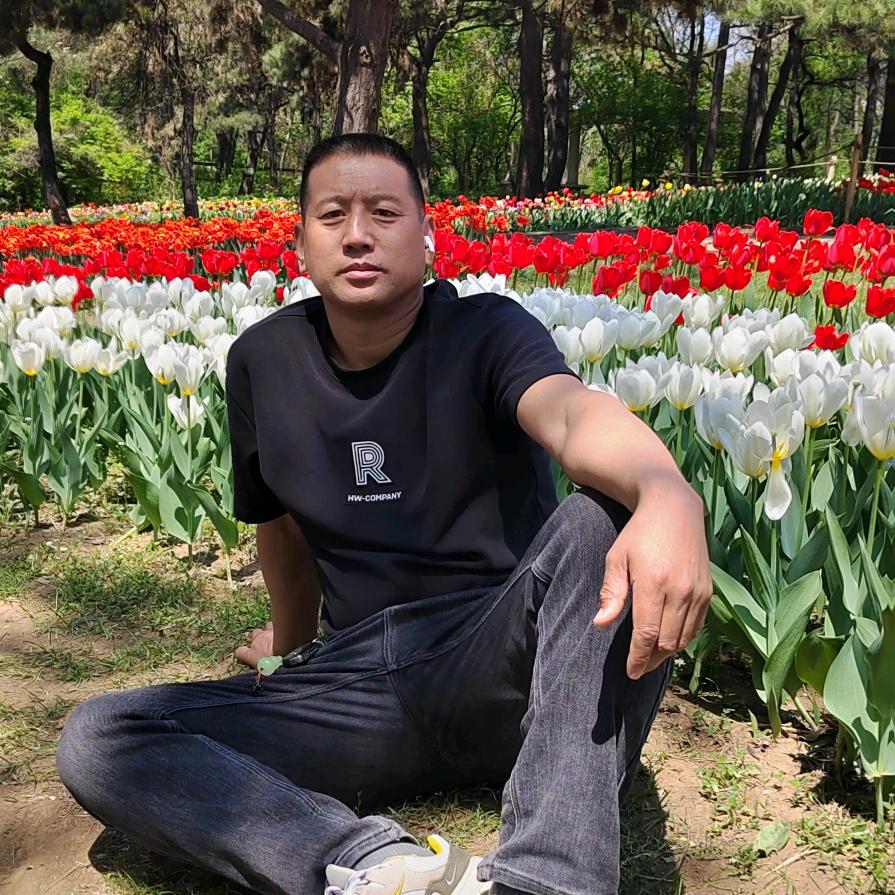 善缘小李子