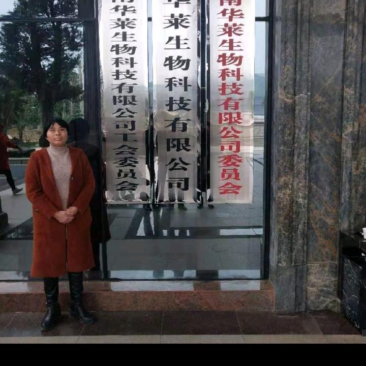 艺心