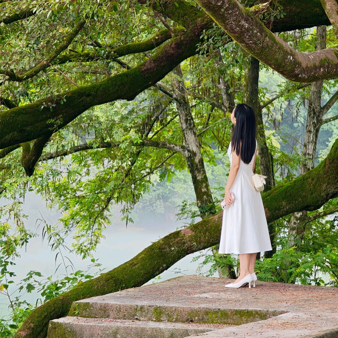 吹吹人间发财风