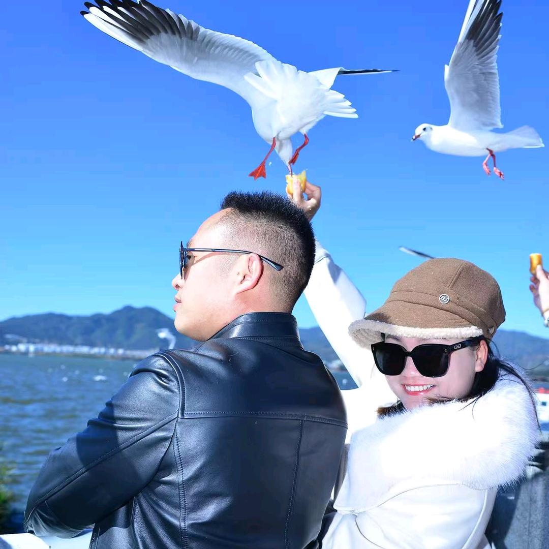 云南～漠沙新鲜蔬菜供应商