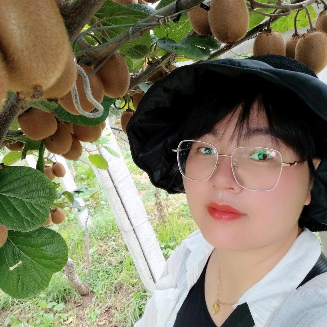 七分田有机猕猴桃种植基地敏敏