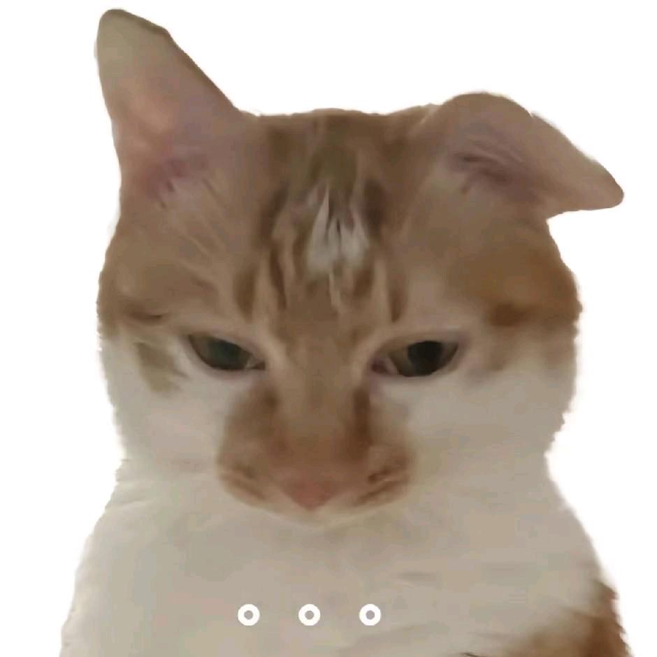 汉堡老大