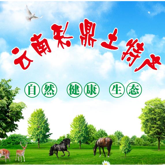 云南彩鼎土特产