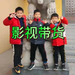 WS德