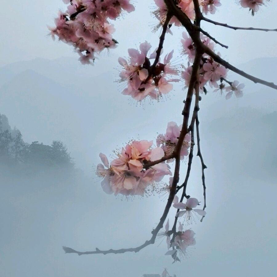 烟雨醉江南