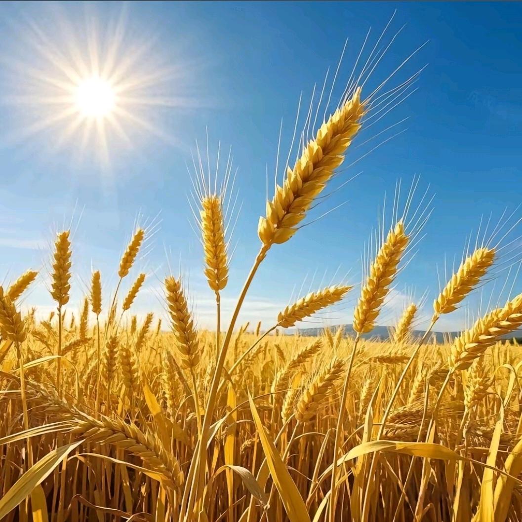 若你微笑 自得繁华