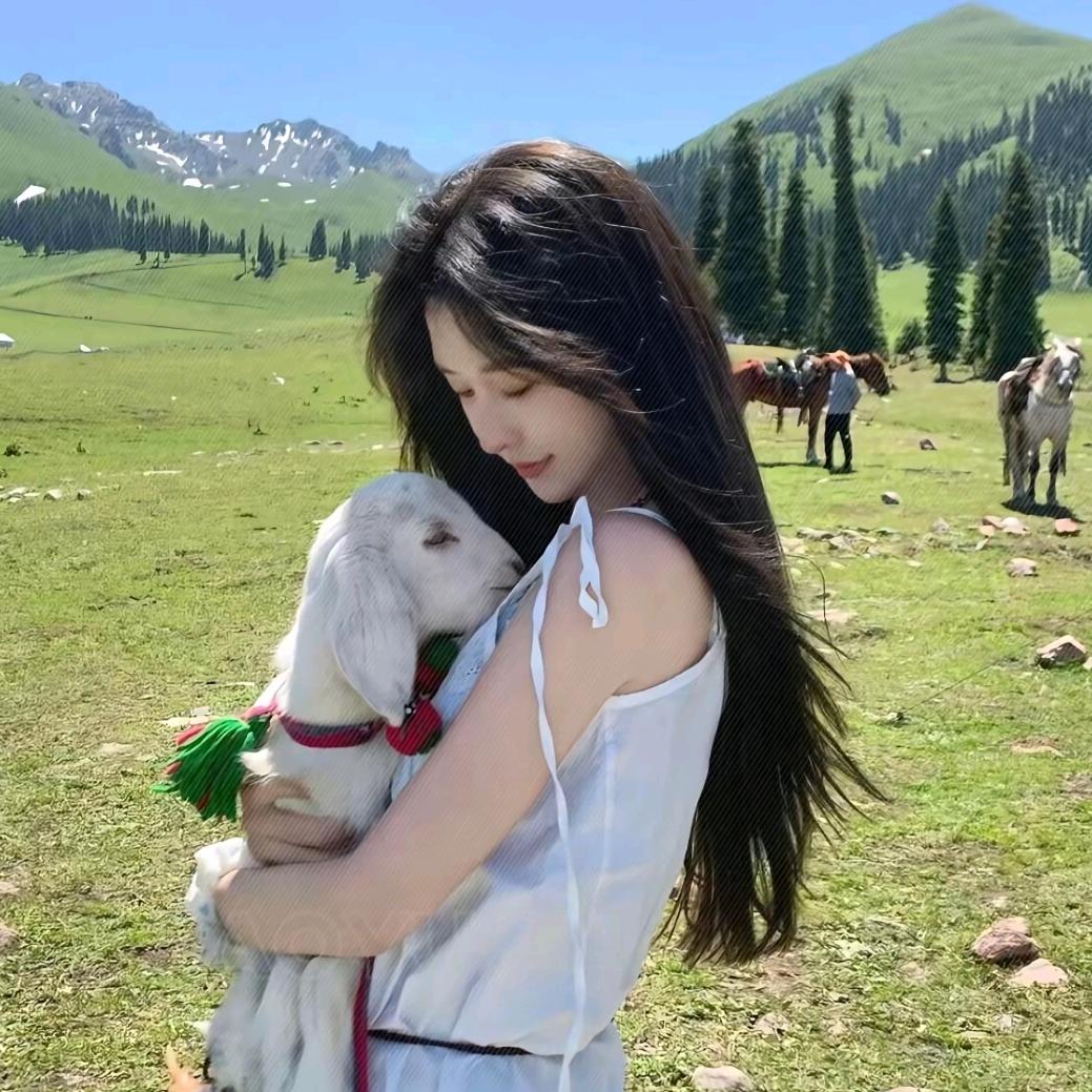 小夏精选❤️
