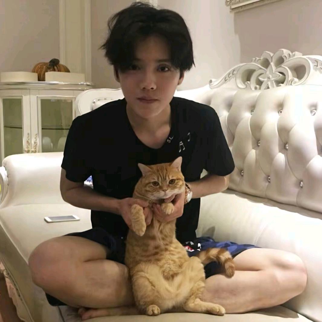 雾漫磊