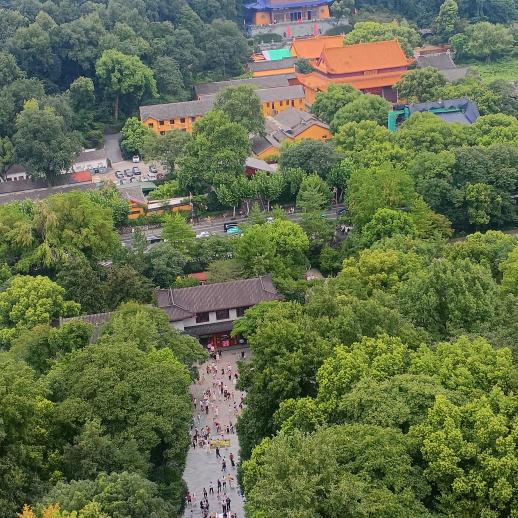 明天会更好